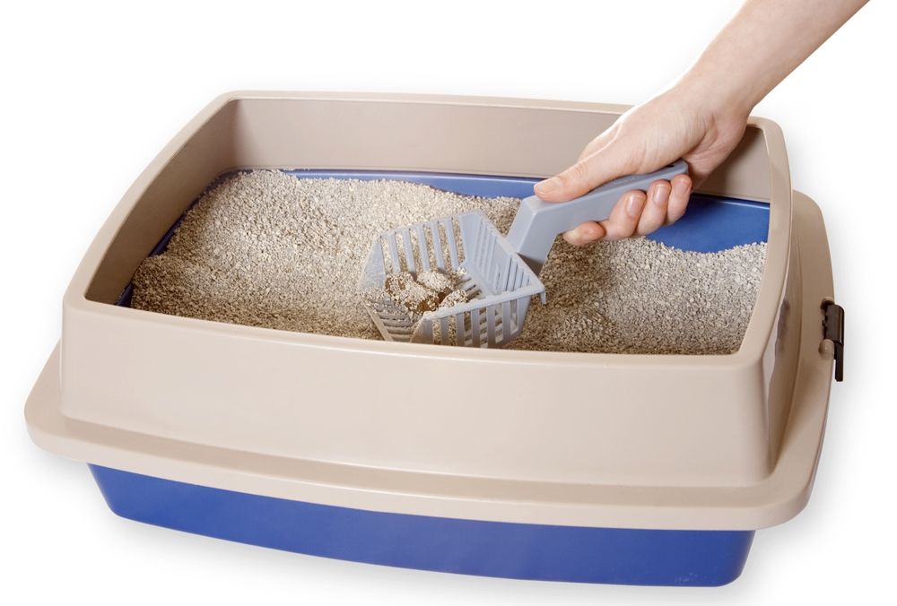 чистка лотка