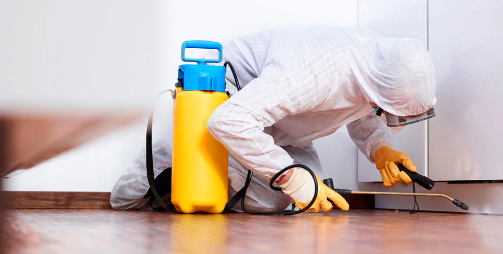 дезинсекция квартиры