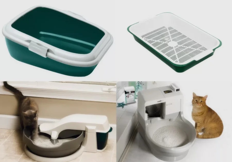 как выбрать лоток котенку