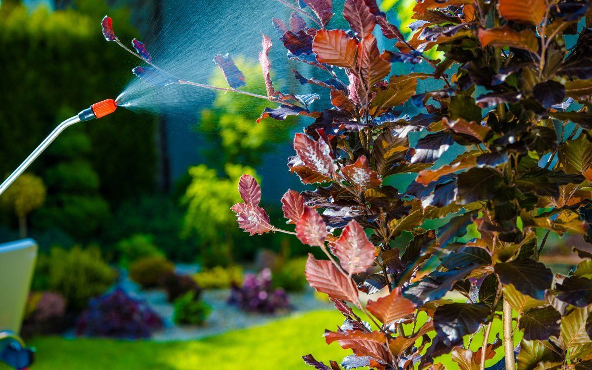 Распыление раствора