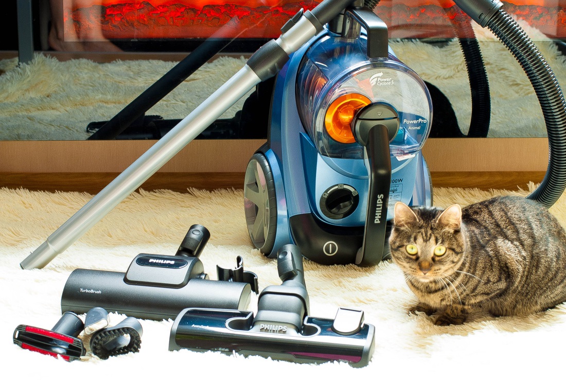 как выглядит моющий пылесос