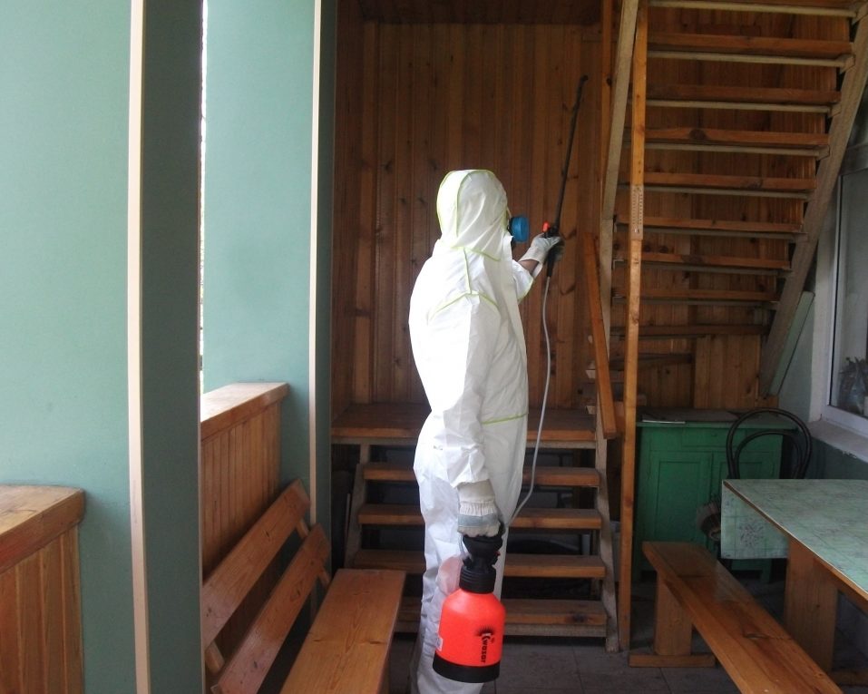 обработка от насекомых