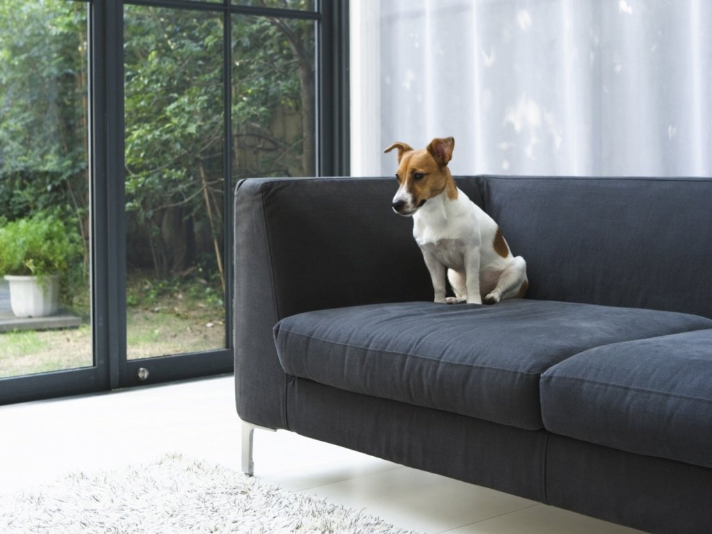 проветриваемом помещении