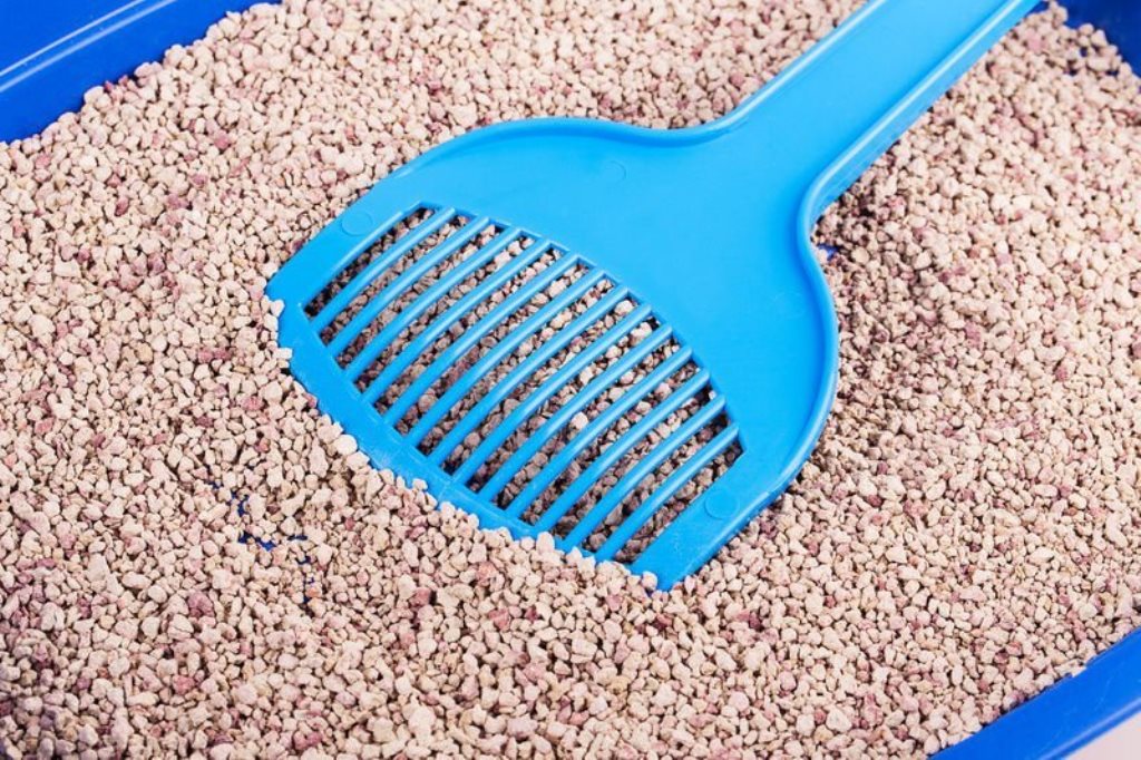 впитывающий наполнитель