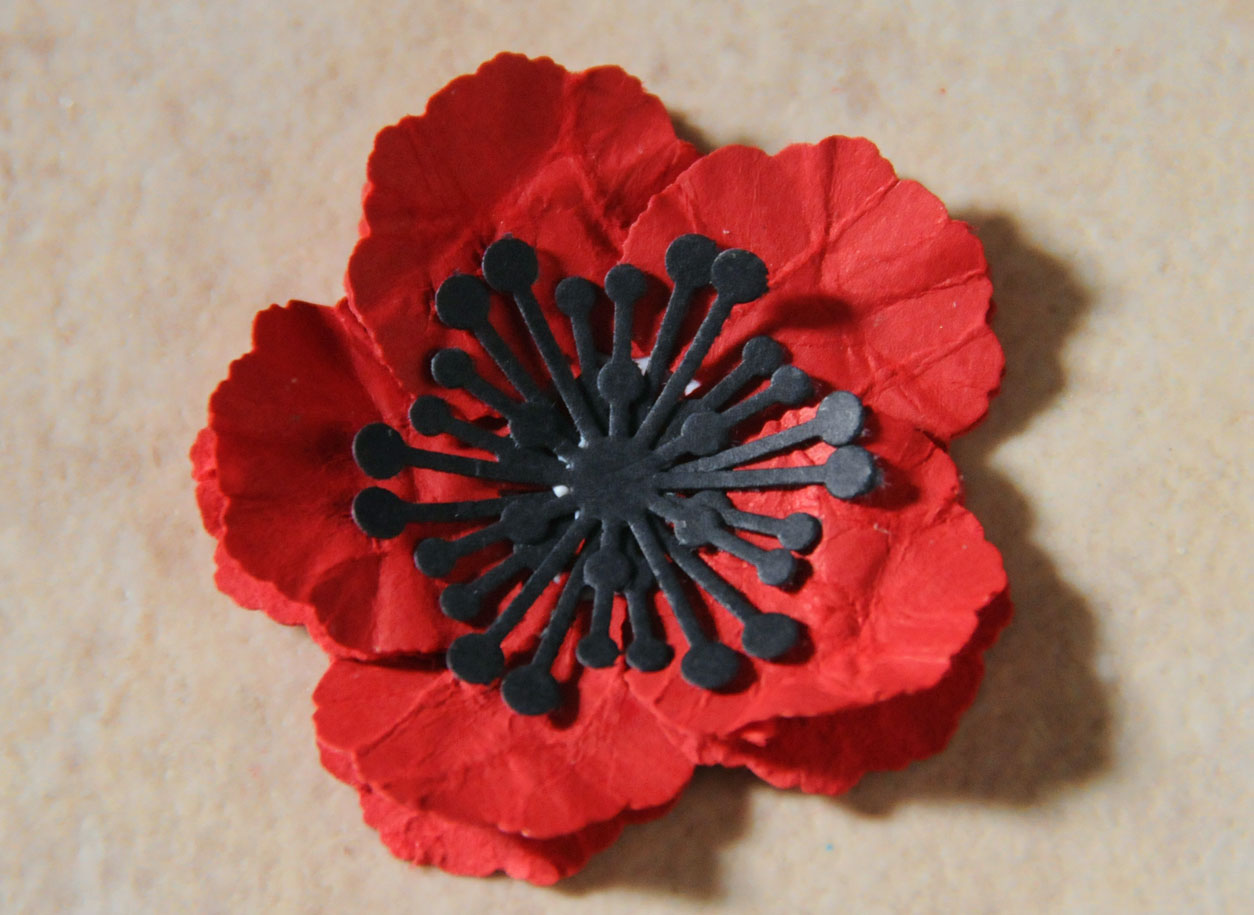 мак из салфеток