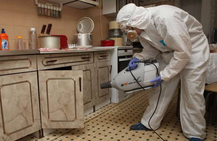 дезинфекция дома