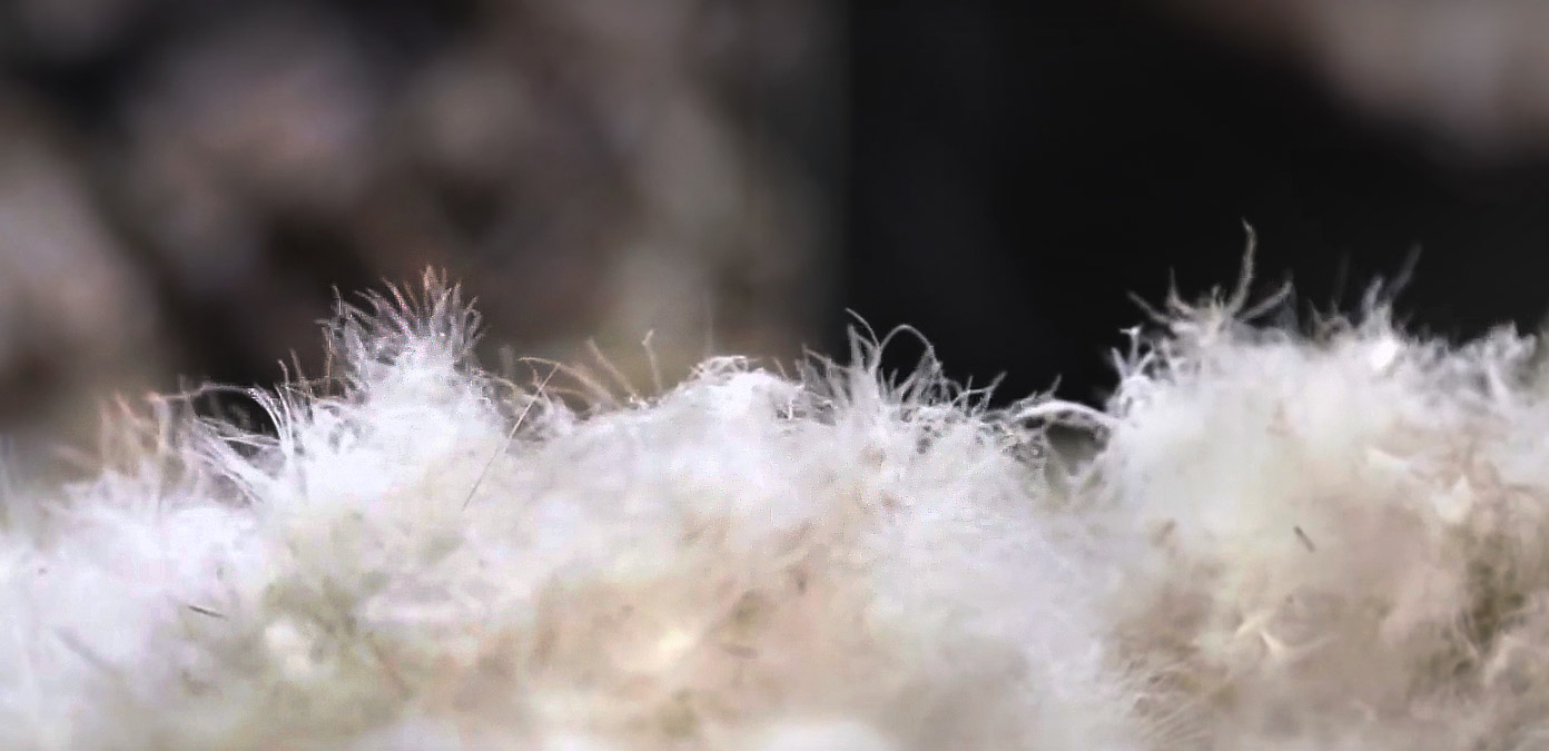 подушка из пуха и пера