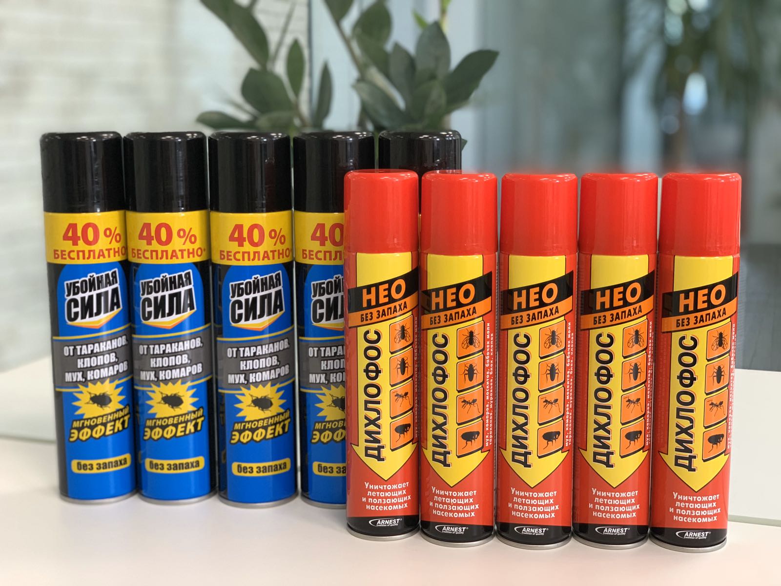 дихлофос для уничтожения насекомых в доме