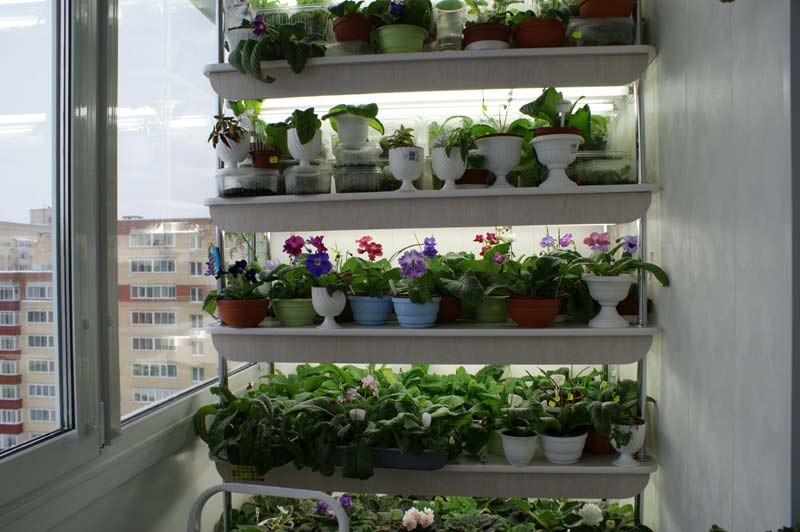 стеллаж для рассады фото