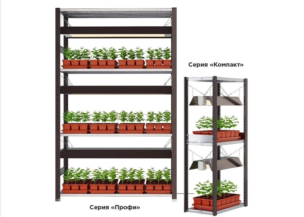 стеллаж для рассады варианты