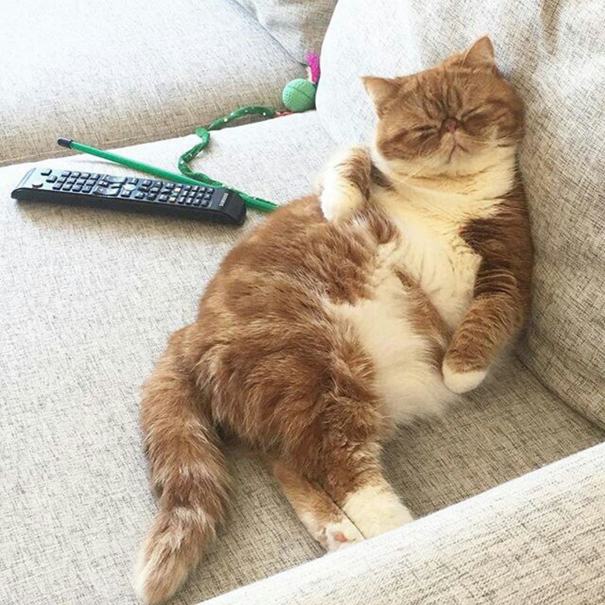 удаление причины запаха