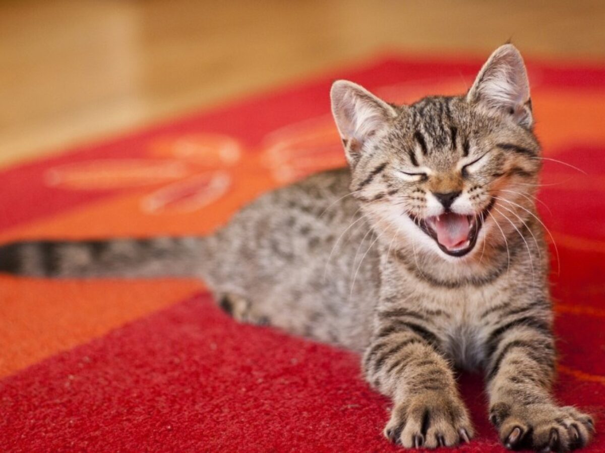 неприятный запах